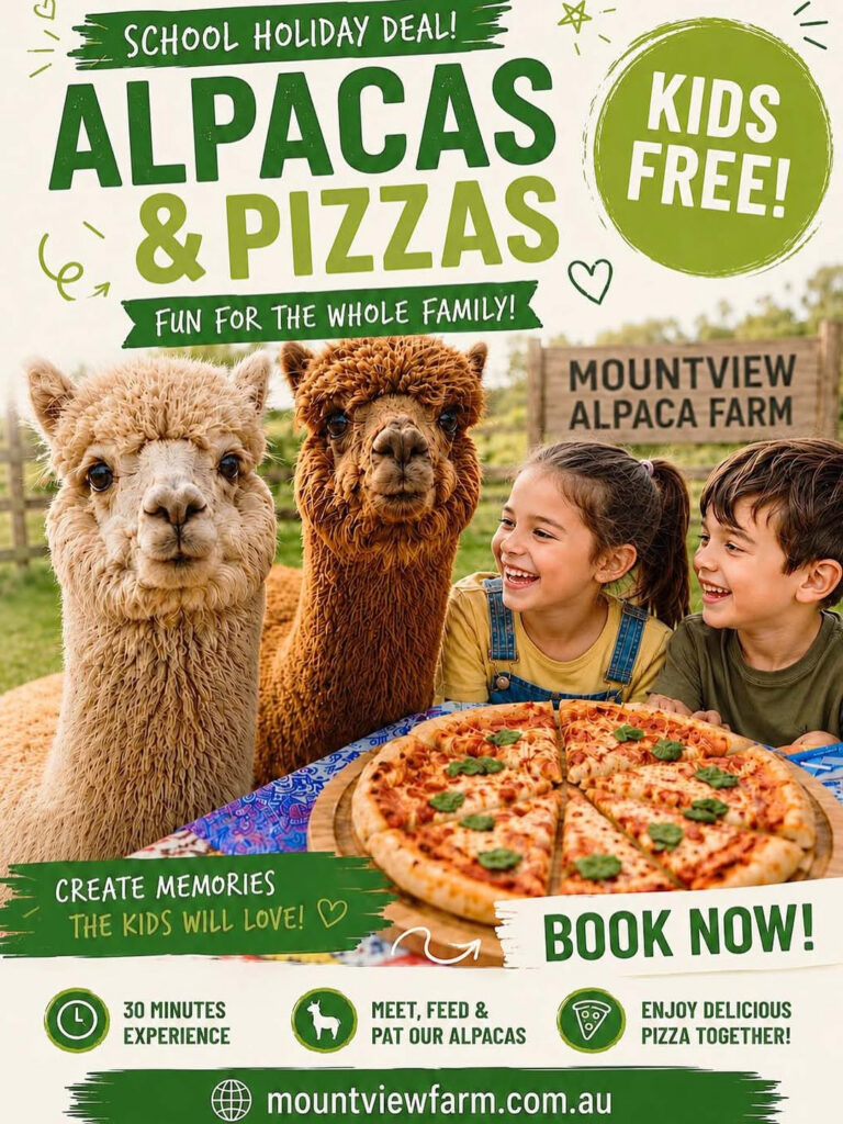School Holiday Pizza Deal