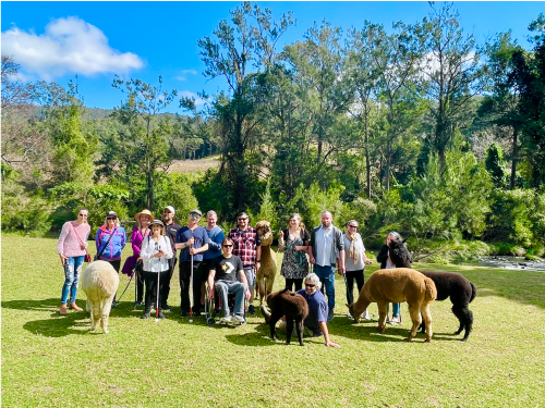 NDIS Therapy Alpaca Experience - Group